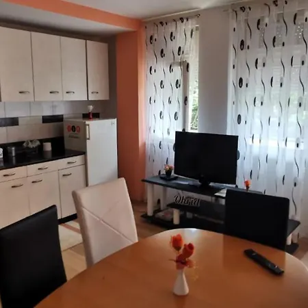 Apartment Bashevski No 3