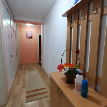 Bashevski No 3 Ohrid